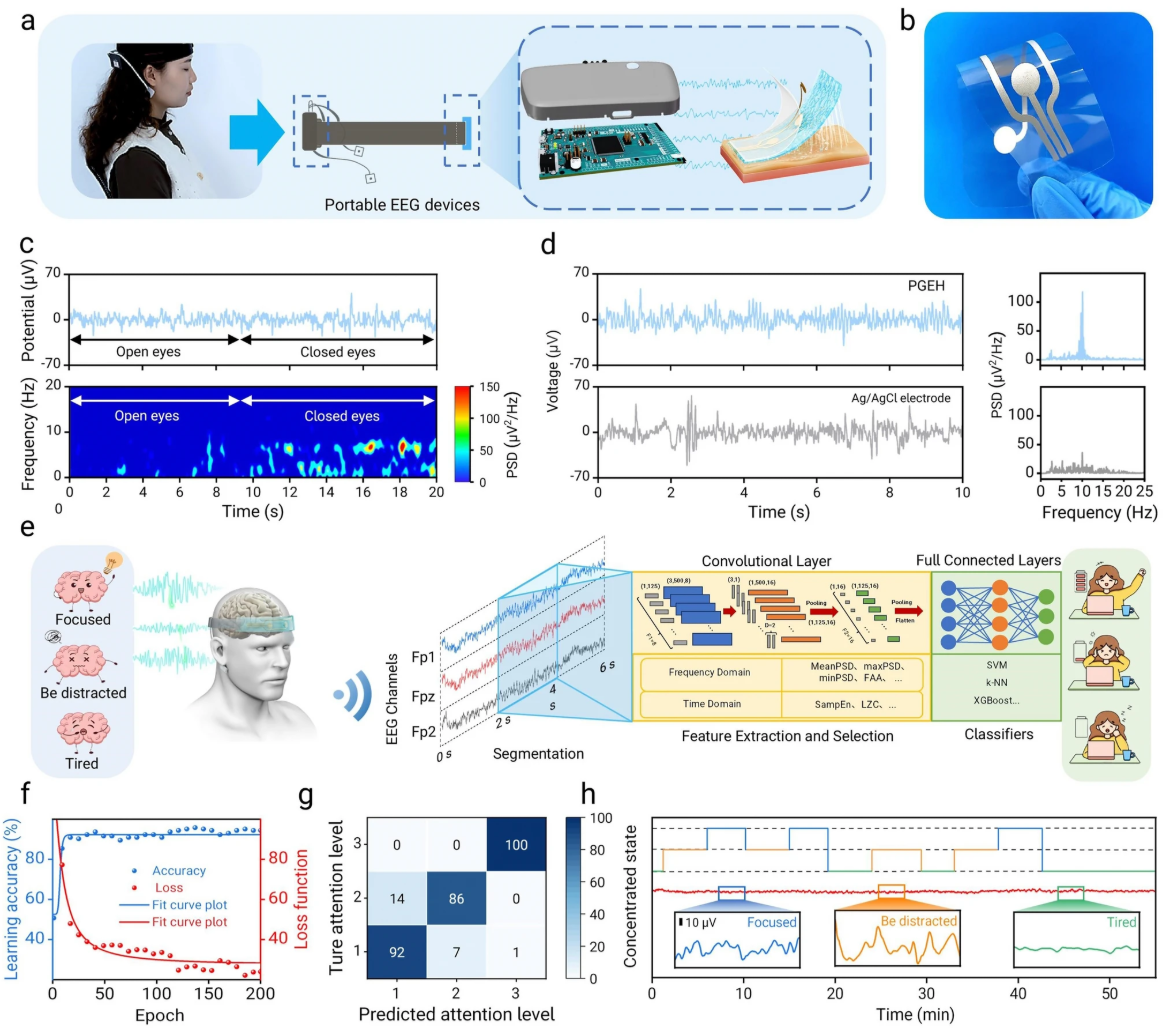 Machine Learning Enabled Reusable Adhesion, Entangled Network-Based Hydrogel for Long-Term, High-Fidelity EEG Recording and Attention Assessment