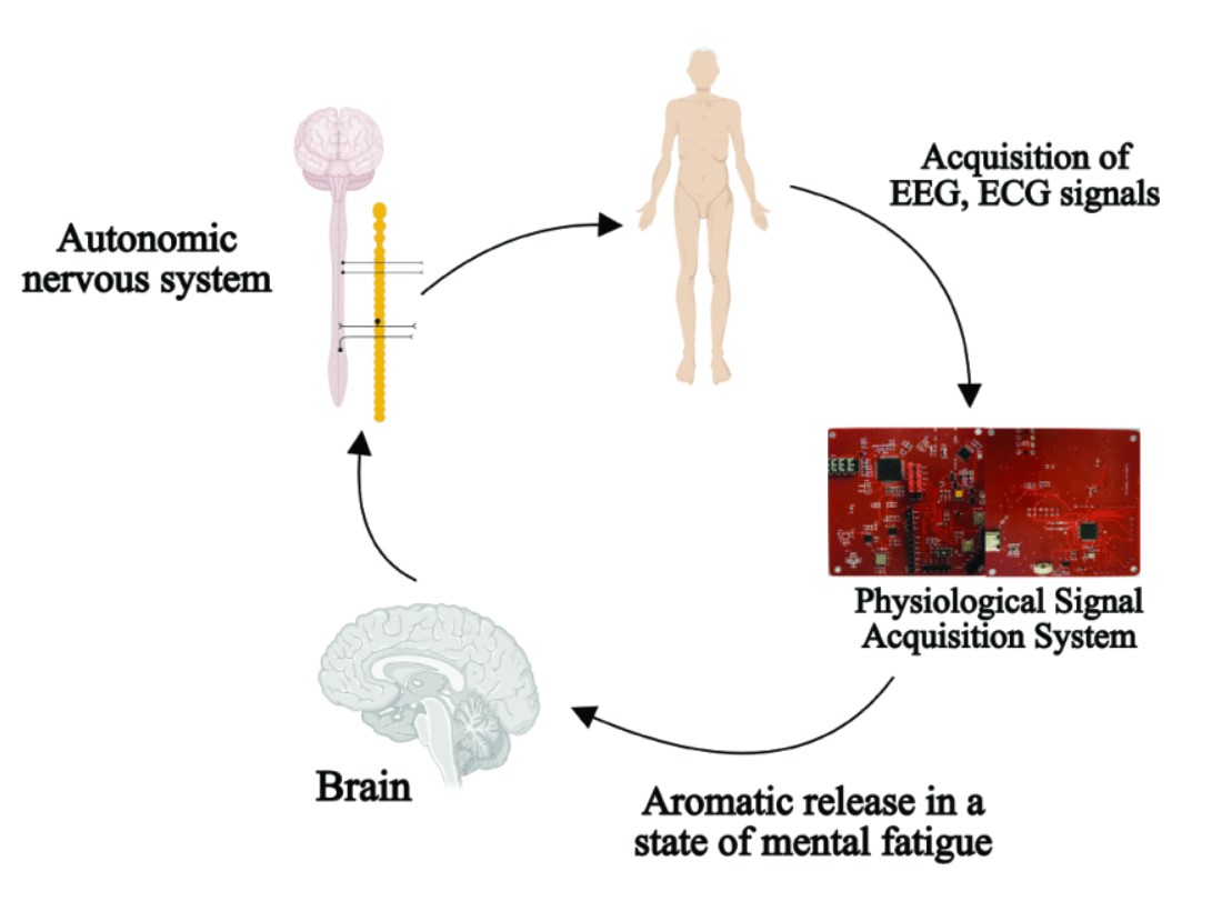 Design and Verification of an Aromatherapy Feedback System for Mental Fatigue Based on Physiological Signals